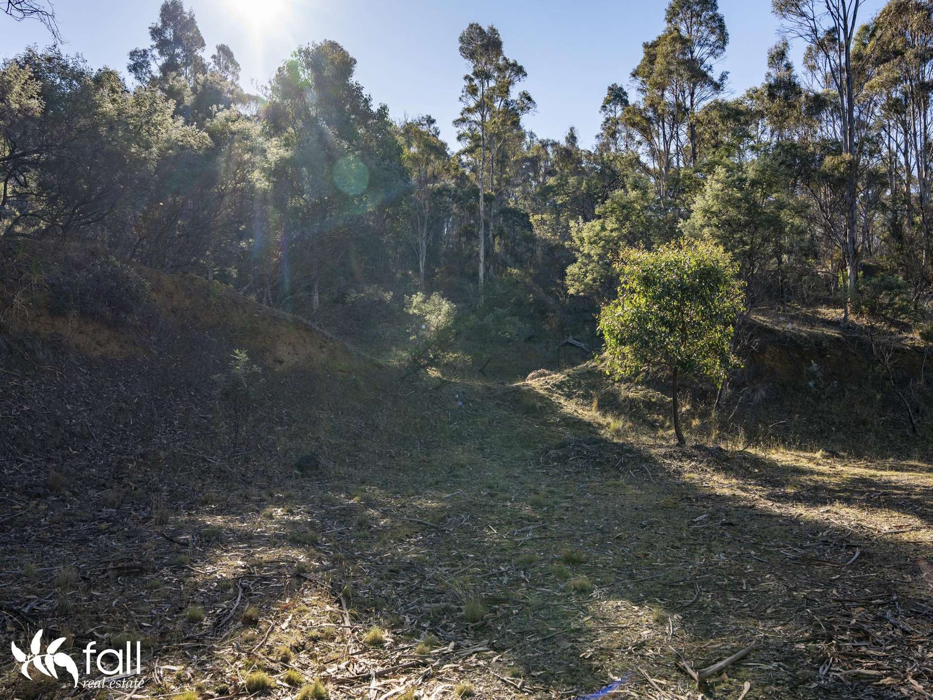 Lots 1 & 2 Native Corners Road, Campania For Sale by Farmbuy.com - image 15