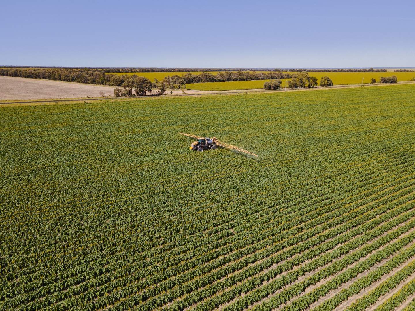 Wondalli/30286 CUNNINGHAM HIGHWAY, Goondiwindi For Sale by Farmbuy.com - image 9