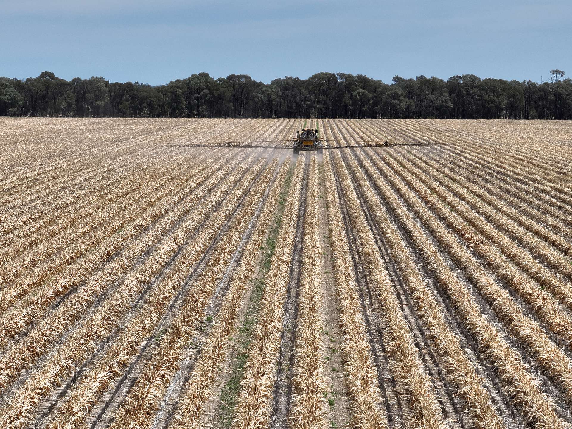 Wondalli/30286 CUNNINGHAM HIGHWAY, Goondiwindi For Sale by Farmbuy.com - image 17