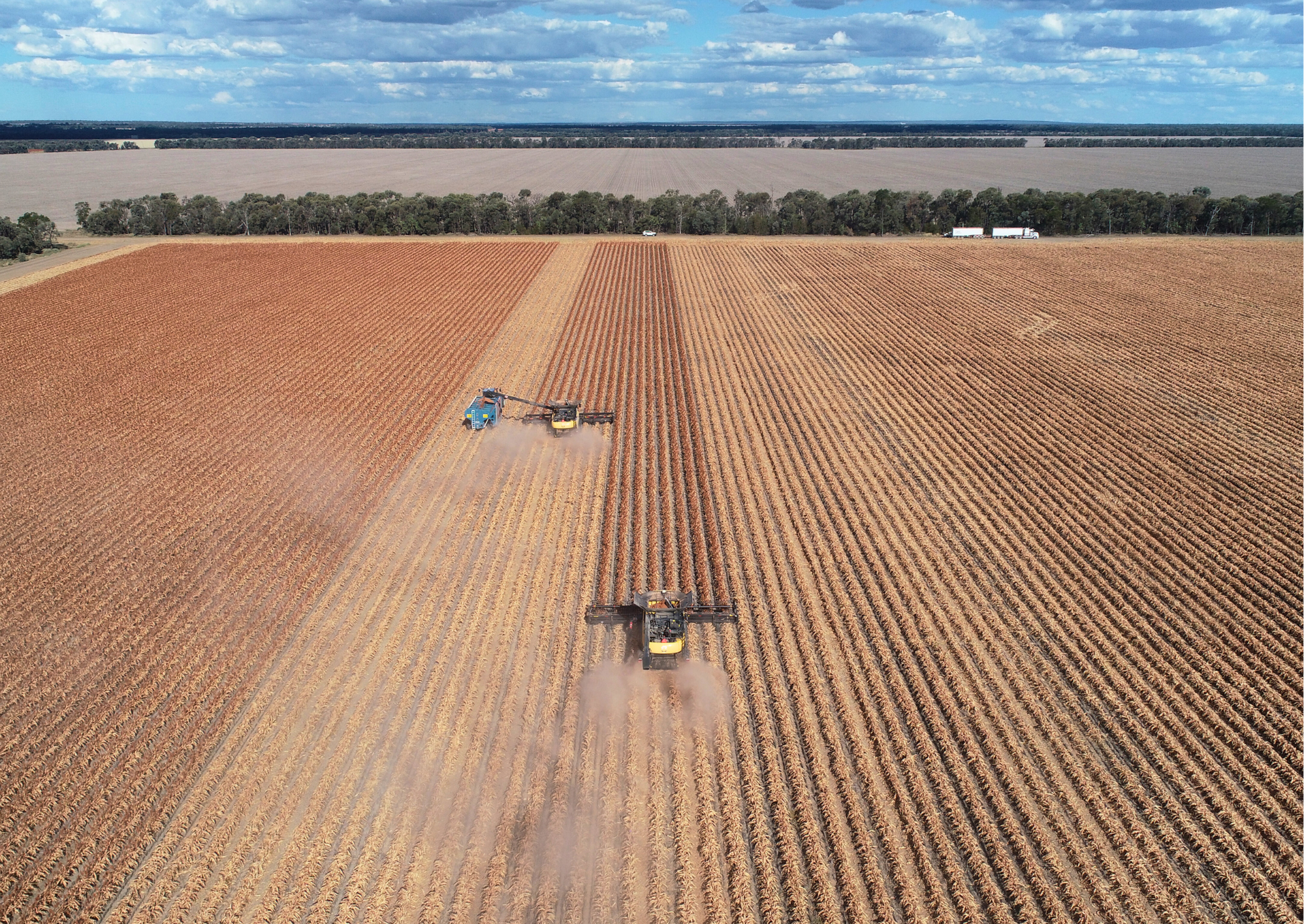 Wondalli/30286 CUNNINGHAM HIGHWAY, Goondiwindi For Sale by Farmbuy.com - image 7