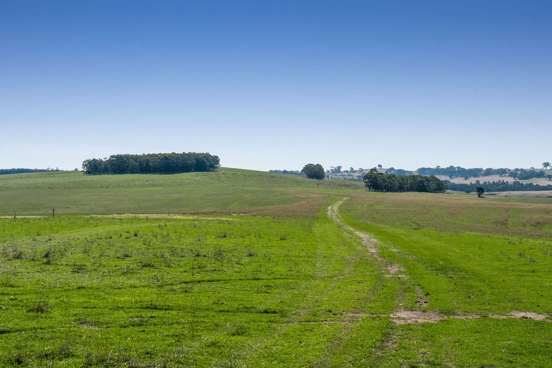 Pittong-Lismore Road, Pittong For Sale by Farmbuy.com - image 21