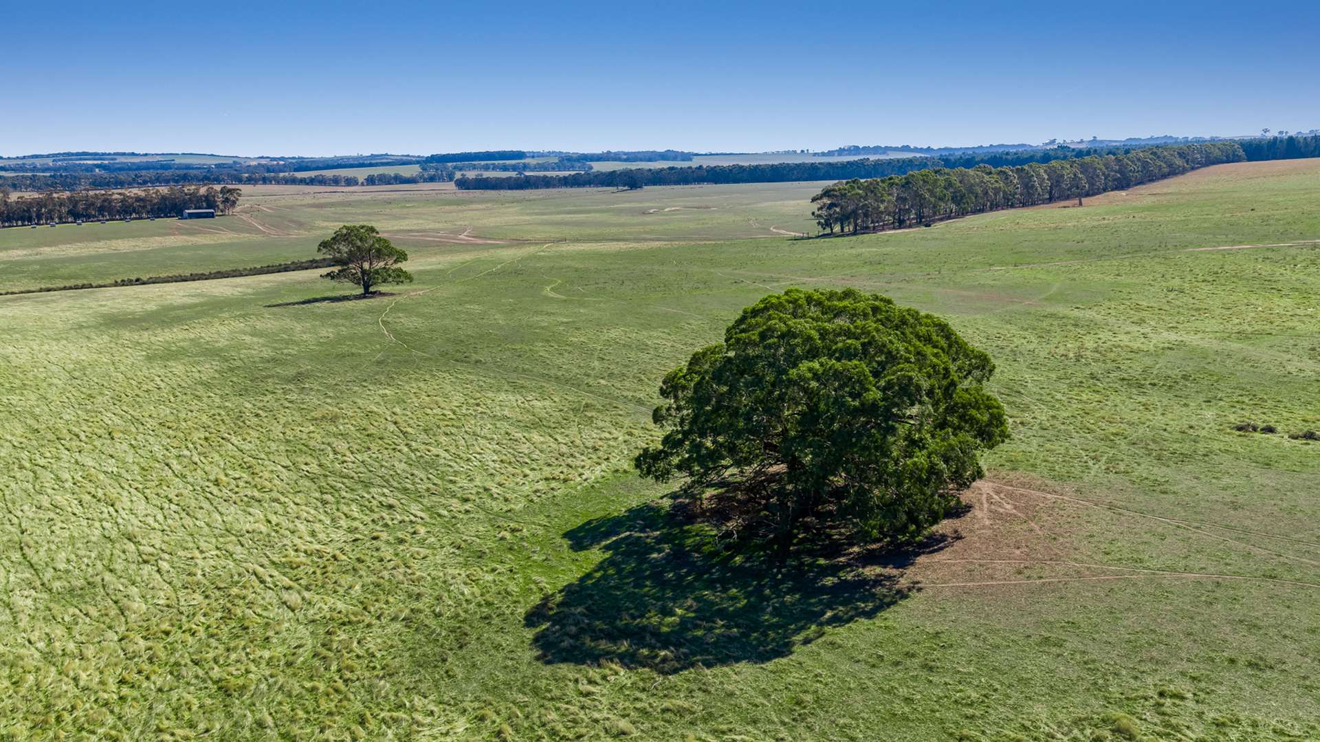 Pittong-Lismore Road, Pittong For Sale by Farmbuy.com - image 20
