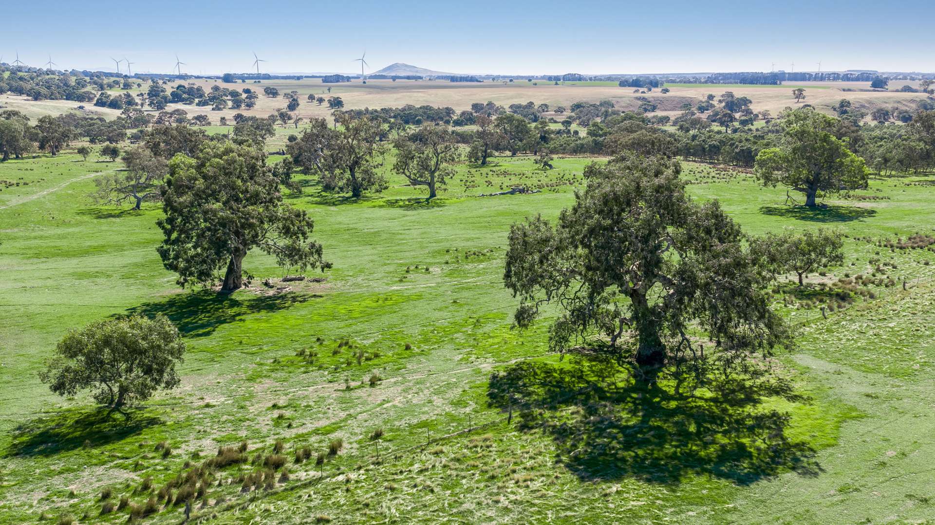 Pittong-Lismore Road, Pittong For Sale by Farmbuy.com - image 14