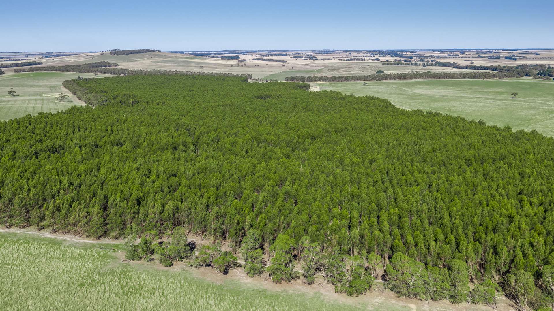 Pittong-Lismore Road, Pittong For Sale by Farmbuy.com - image 16