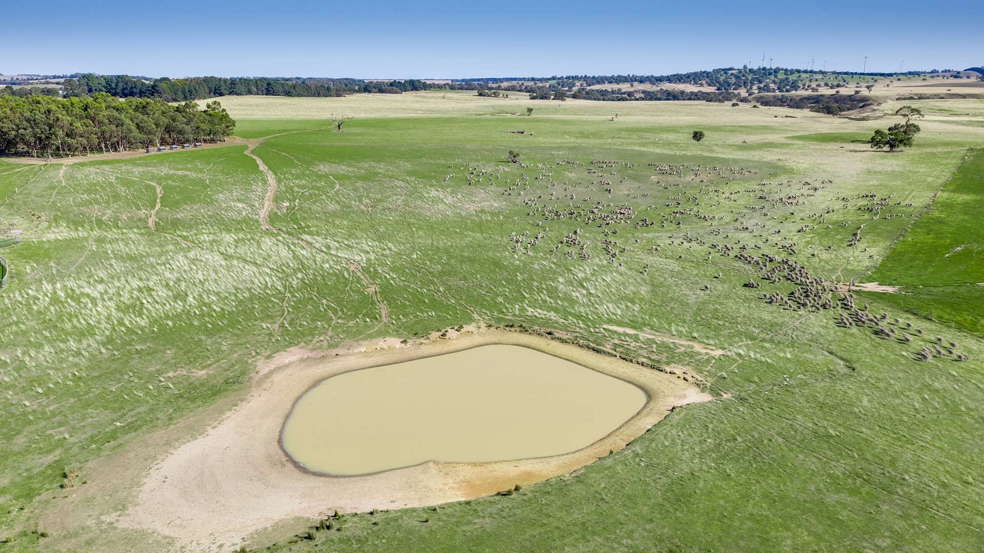 Pittong-Lismore Road, Pittong For Sale by Farmbuy.com - image 18