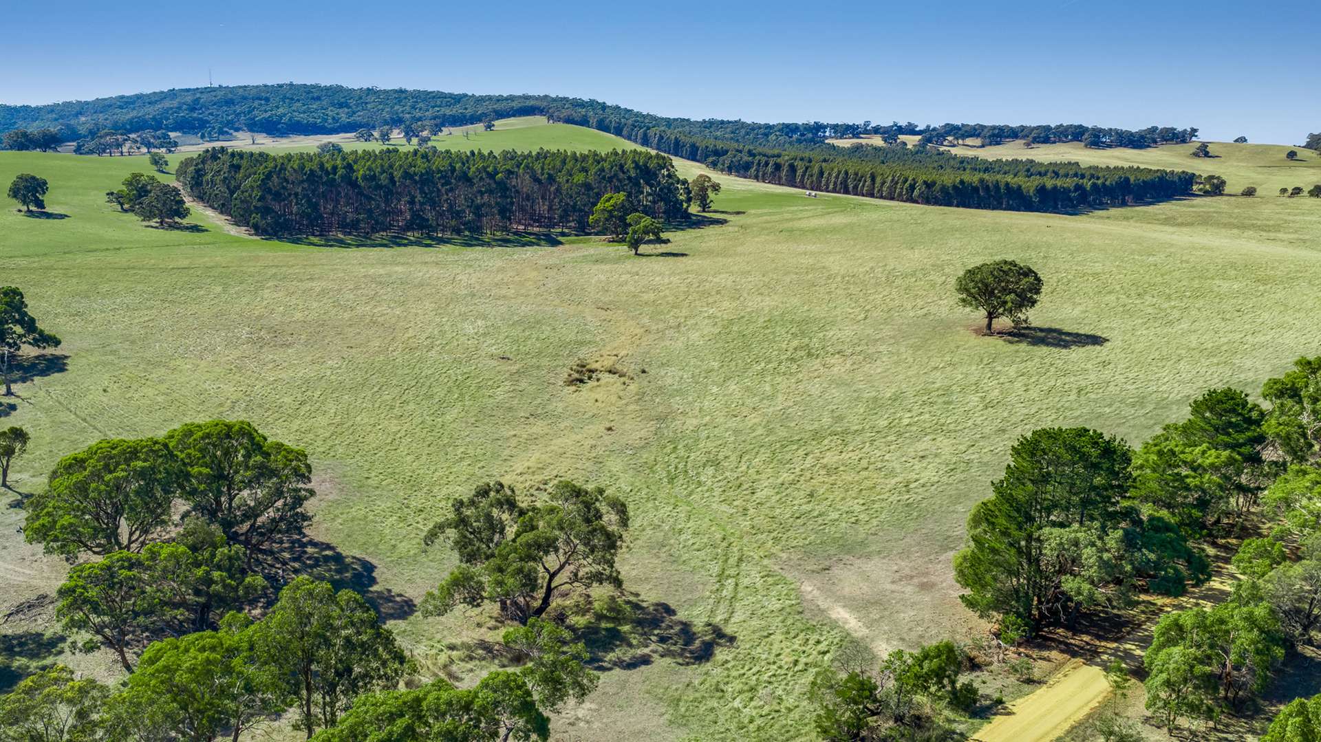 Pittong-Lismore Road, Pittong For Sale by Farmbuy.com - image 19