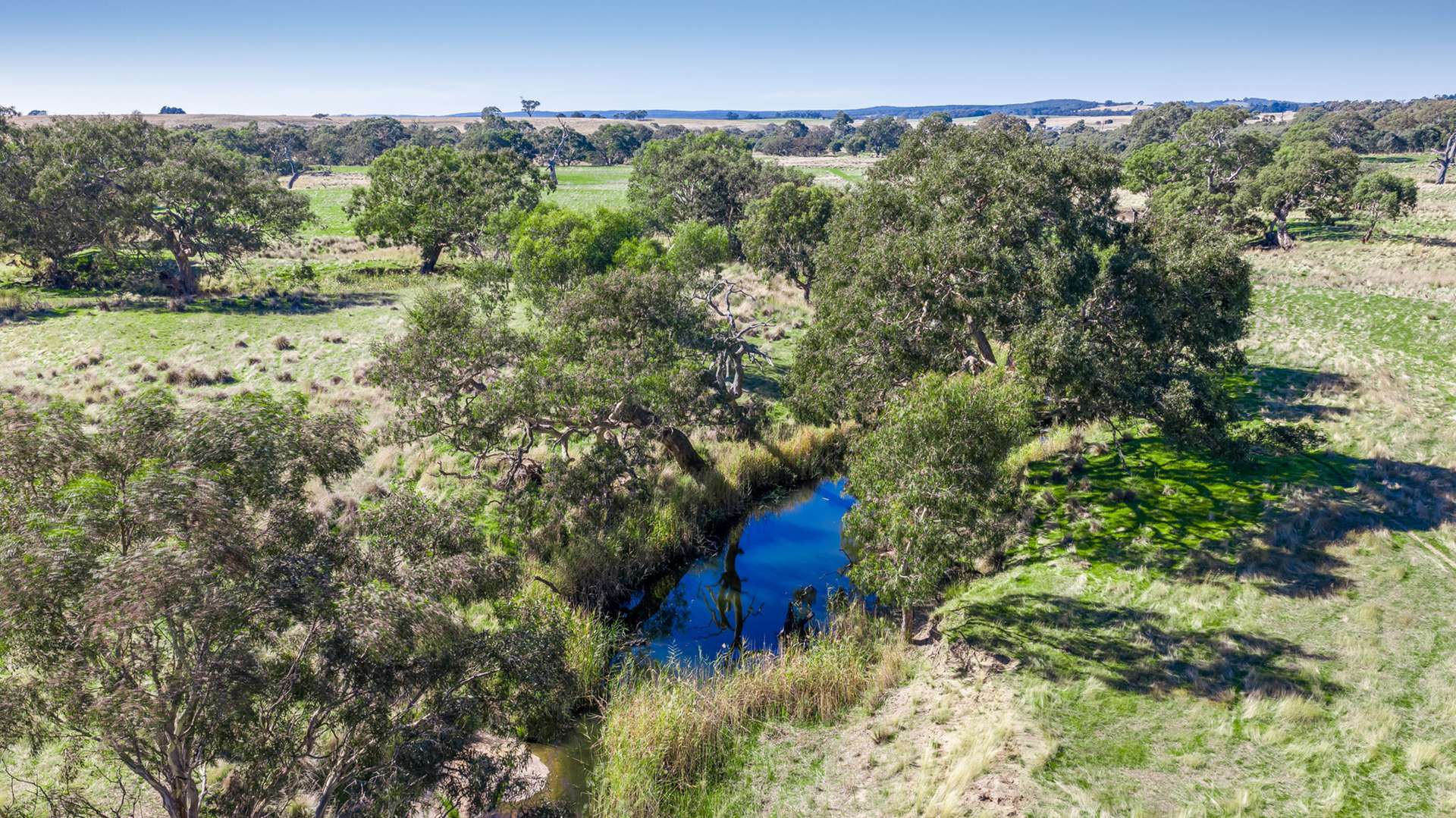 Pittong-Lismore Road, Pittong For Sale by Farmbuy.com - image 10