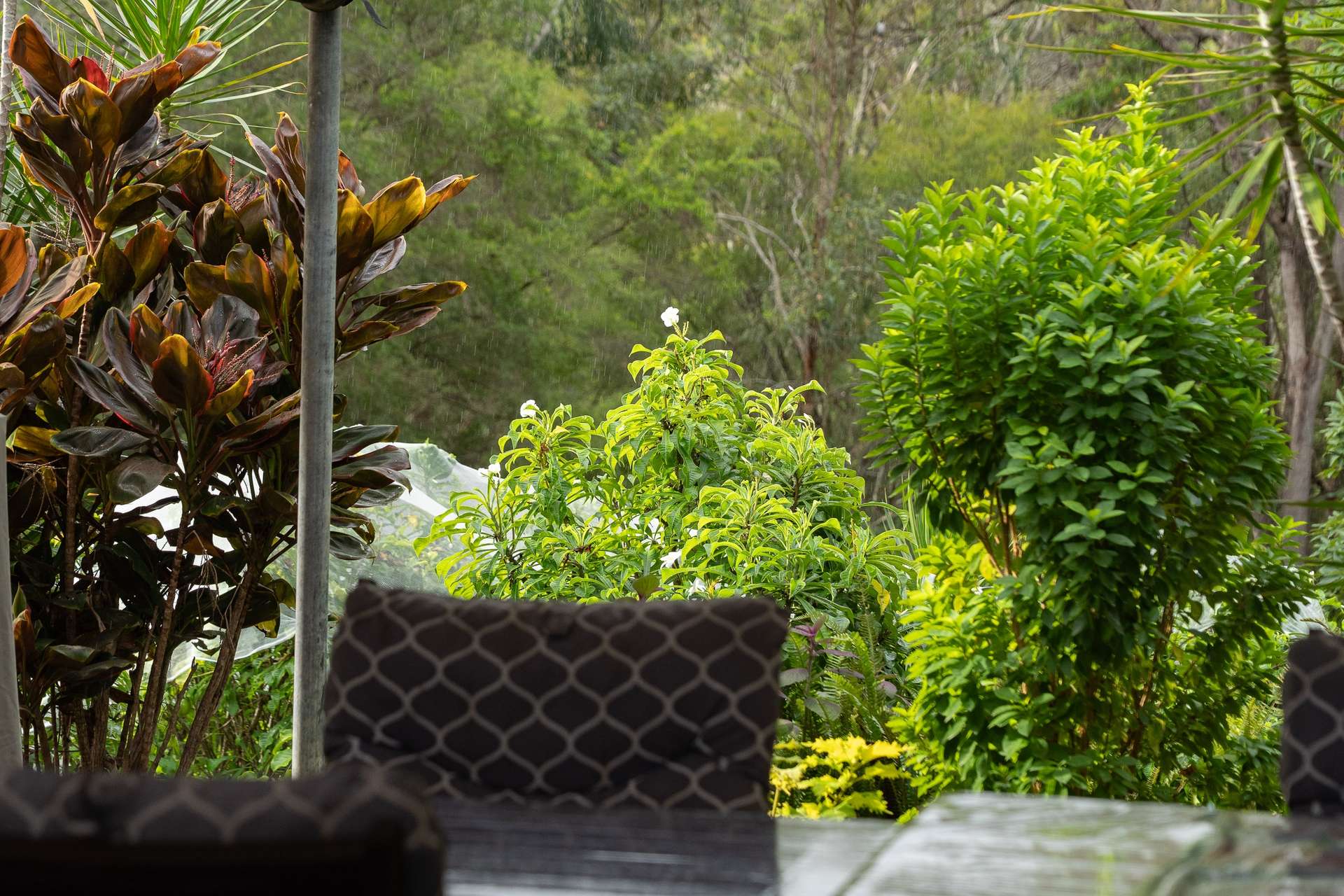 26 Blue Hills Drive, Bunya Sold by Farmbuy.com - image 18