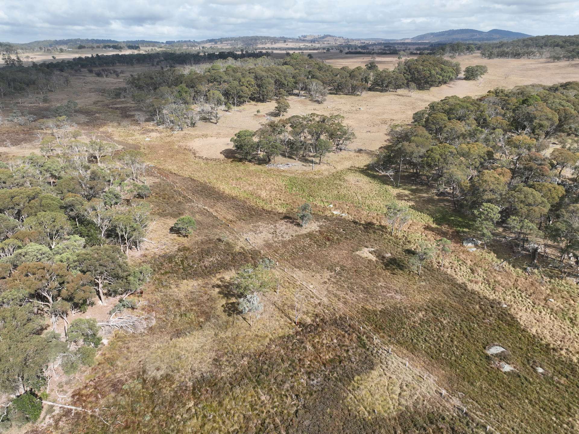 12798 Gwydir Highway, Bald Nob Auction by Farmbuy.com - image 4