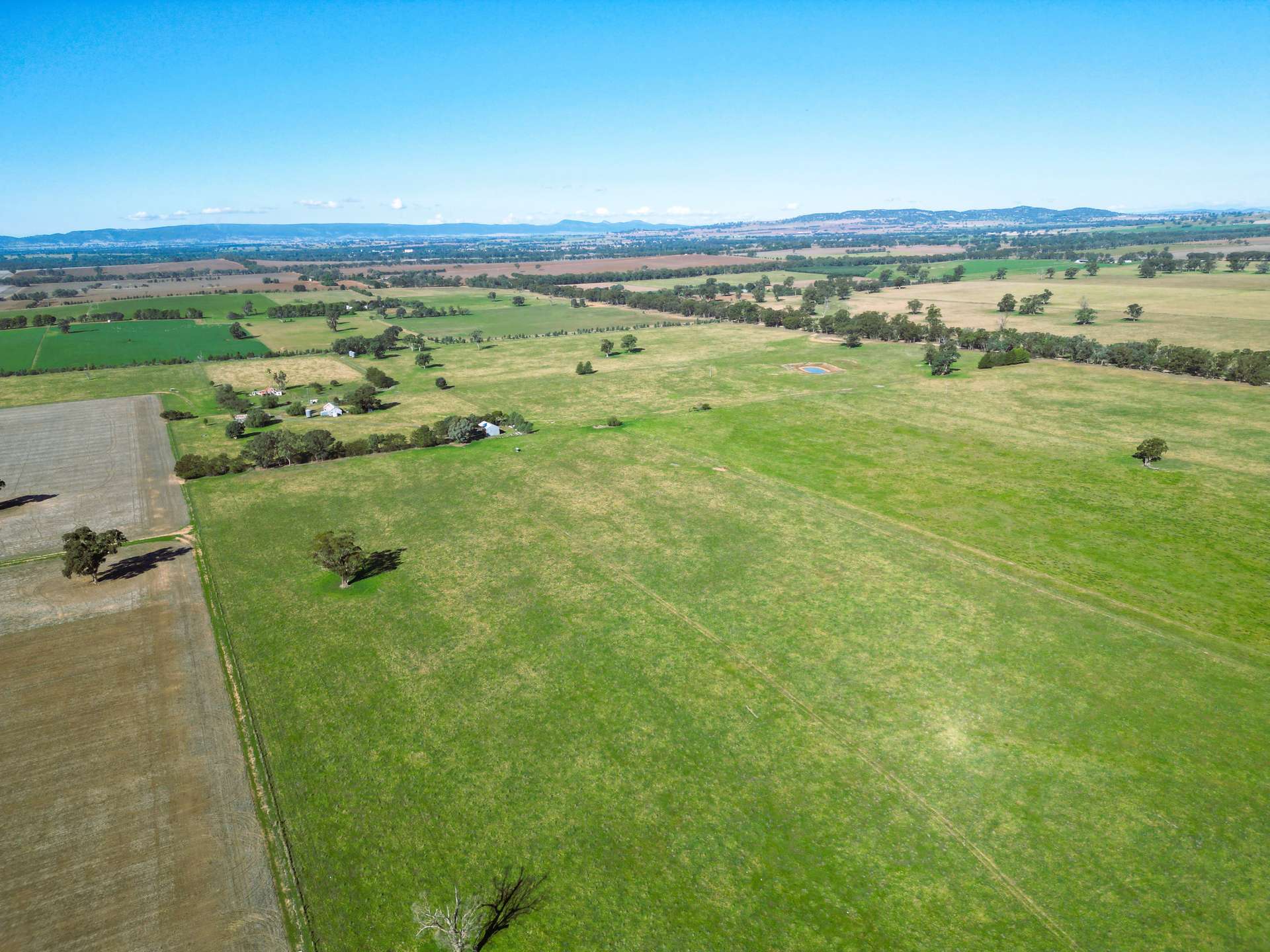 88 Barbers Road, Walla Walla Auction by Farmbuy.com - image 7