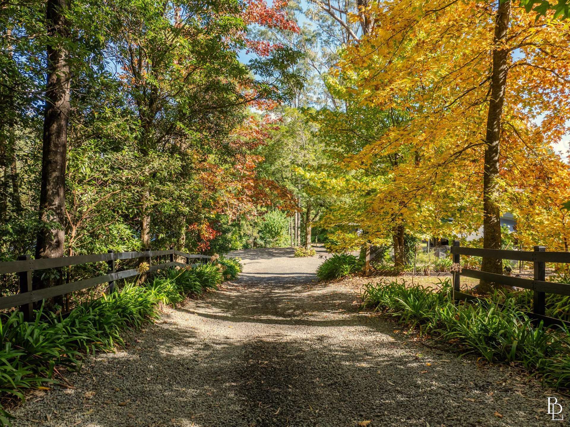 1011A Kangaroo Valley Road, Bellawongarah For Sale by Farmbuy.com - image 4
