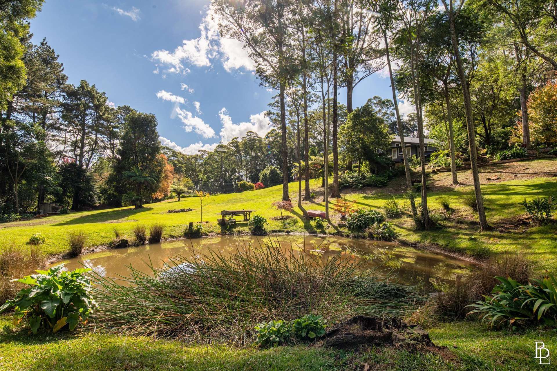 1011A Kangaroo Valley Road, Bellawongarah For Sale by Farmbuy.com - image 27
