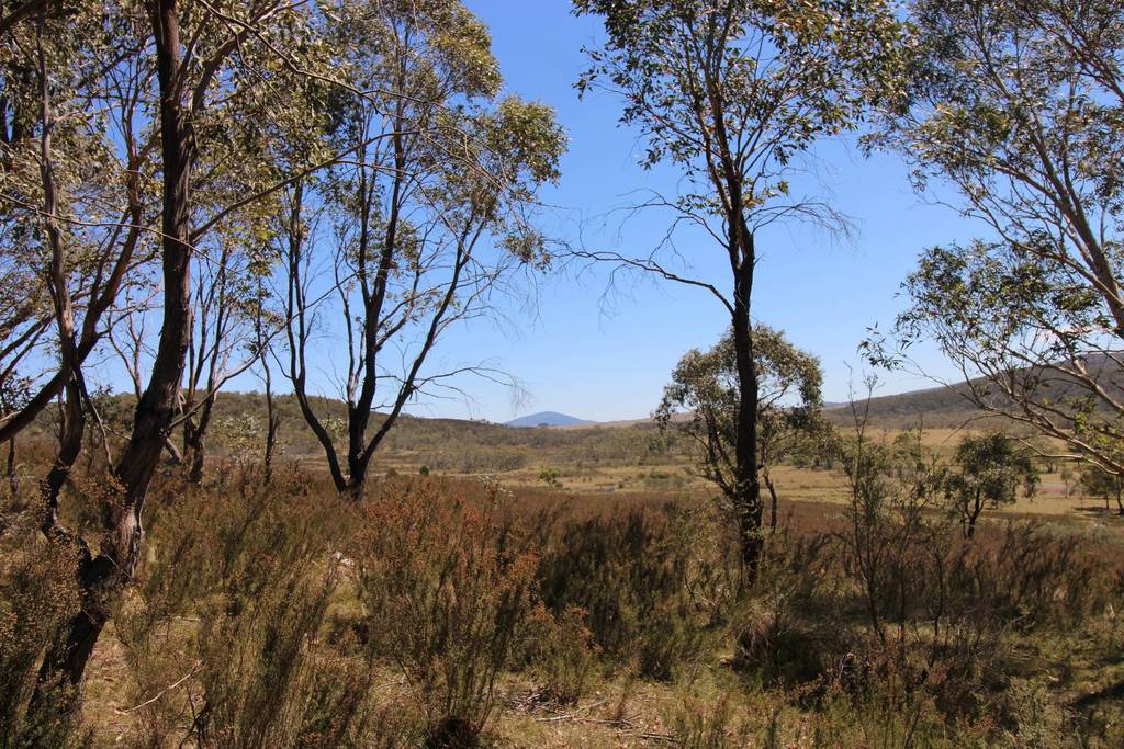 3314 Cooma Road, Braidwood NSW 2622