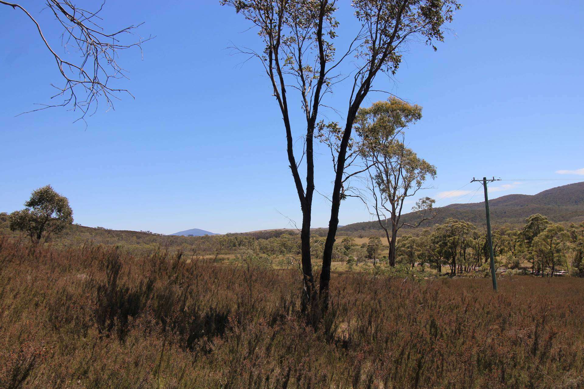 3314 Cooma Road, Braidwood For Sale by Farmbuy.com - image 7