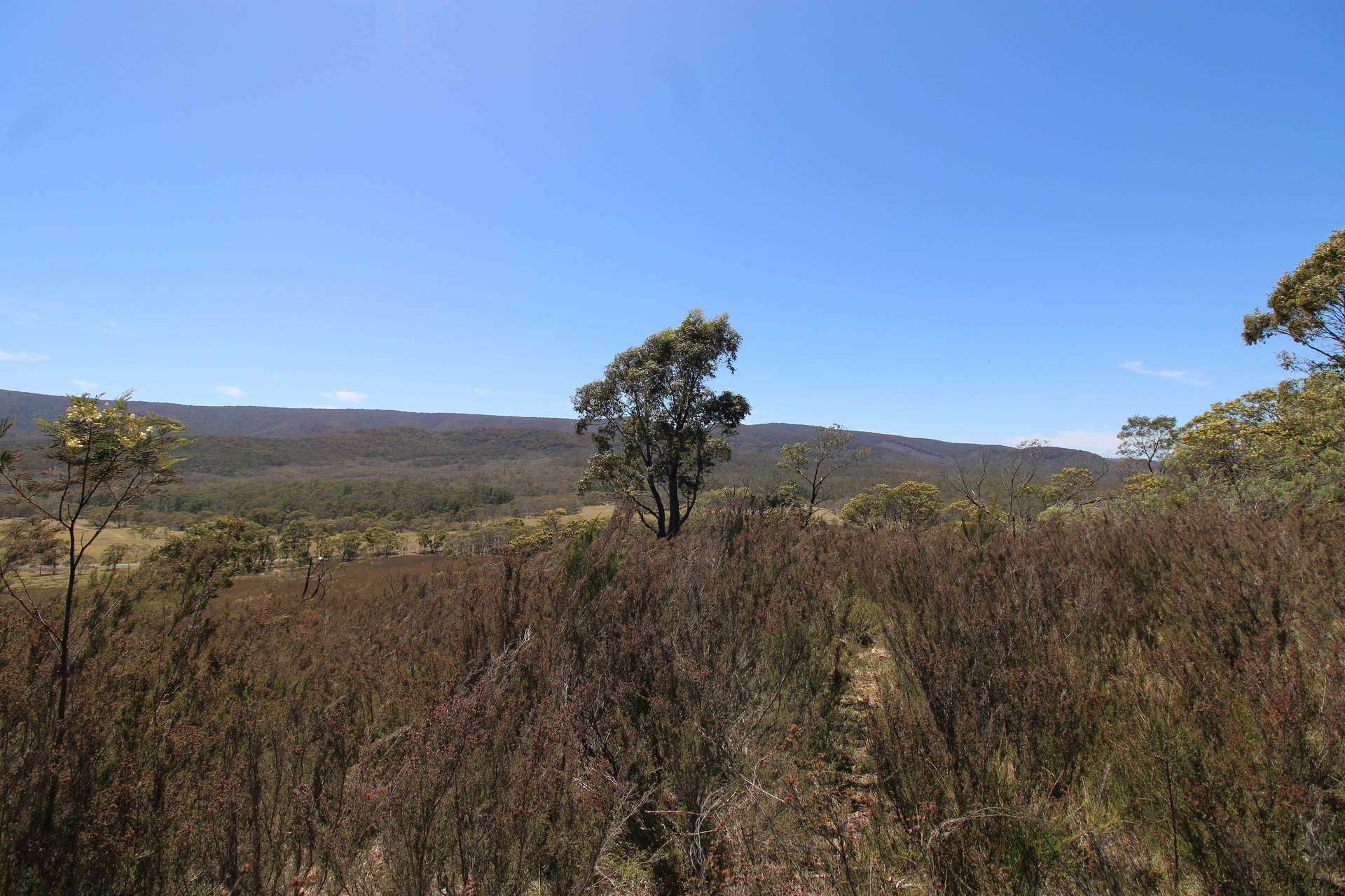 3314 Cooma Road, Braidwood For Sale by Farmbuy.com - image 9
