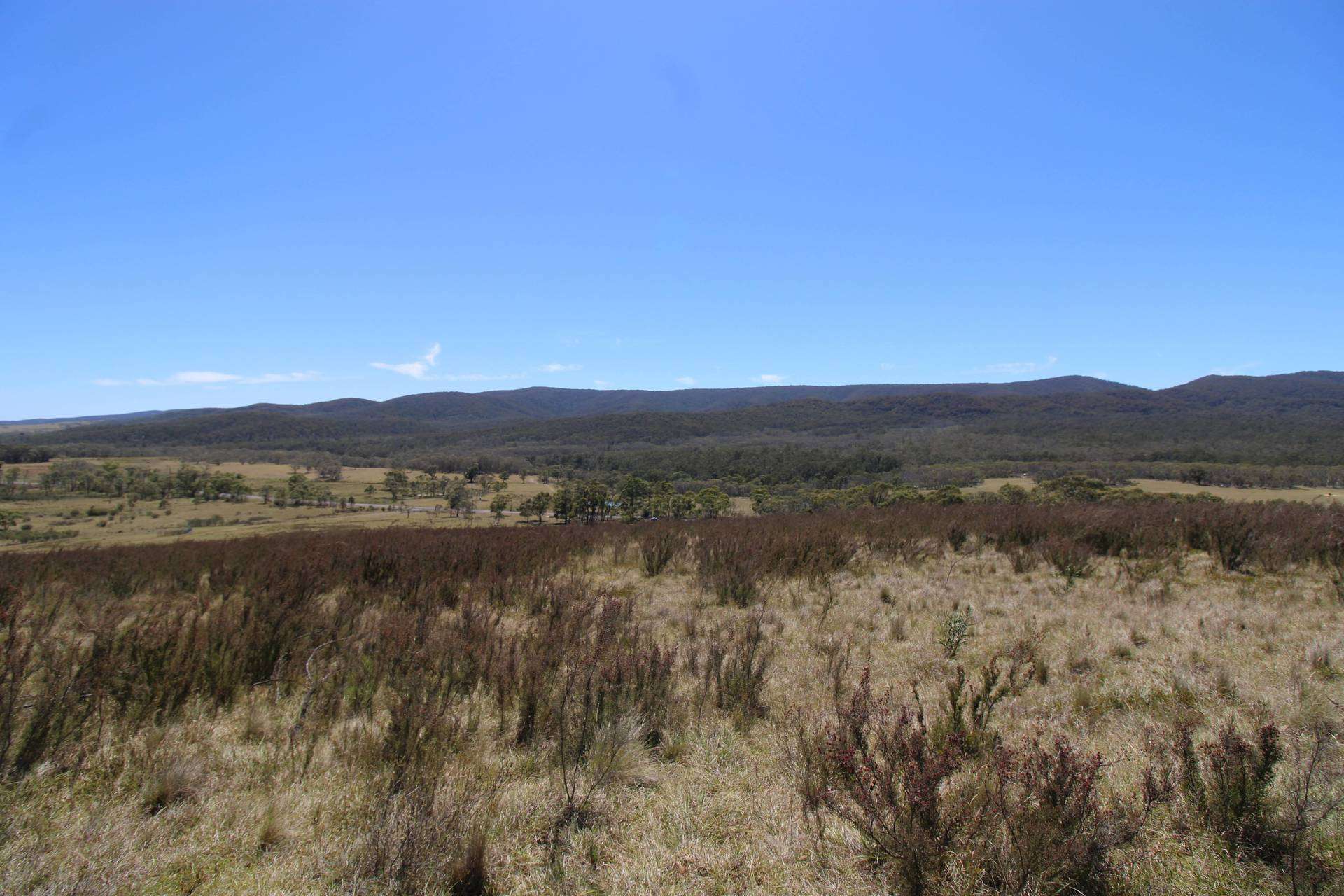 3314 Cooma Road, Braidwood For Sale by Farmbuy.com - image 3
