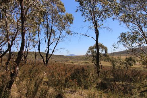 3314 Cooma Road, Braidwood NSW 2622