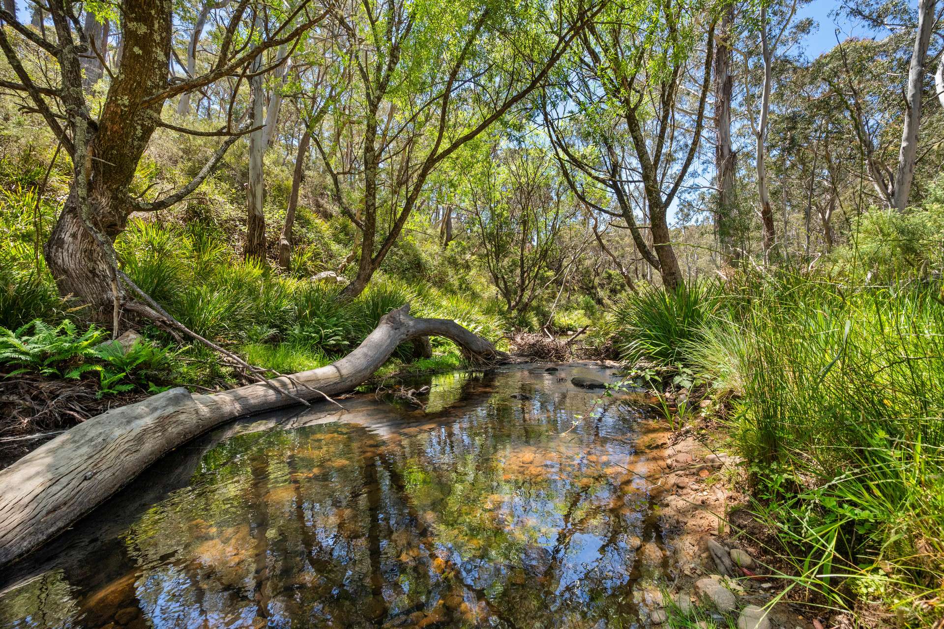 281 Charleys Forest Road, Braidwood For Sale by Farmbuy.com - image 1
