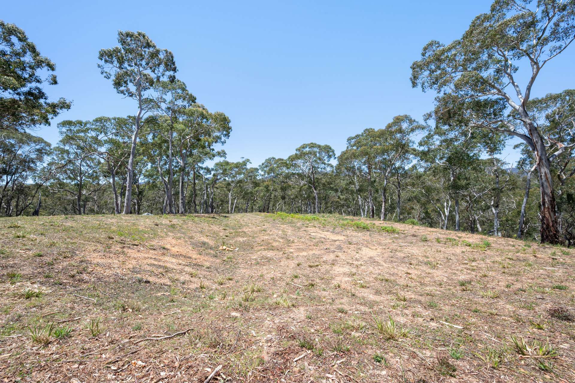 281 Charleys Forest Road, Braidwood For Sale by Farmbuy.com - image 5