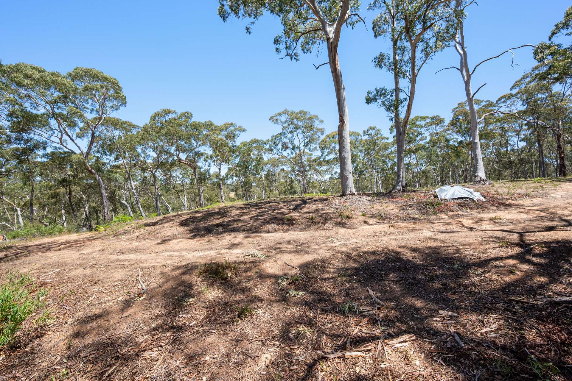 281 Charleys Forest Road, Braidwood For Sale by Farmbuy.com - image 15