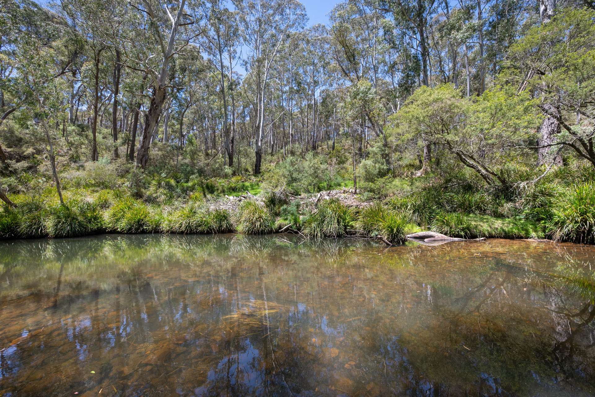 281 Charleys Forest Road, Braidwood For Sale by Farmbuy.com - image 20