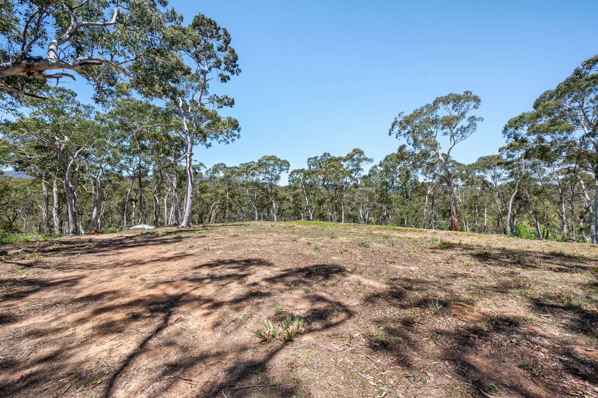 281 Charleys Forest Road, Braidwood For Sale by Farmbuy.com - image 23