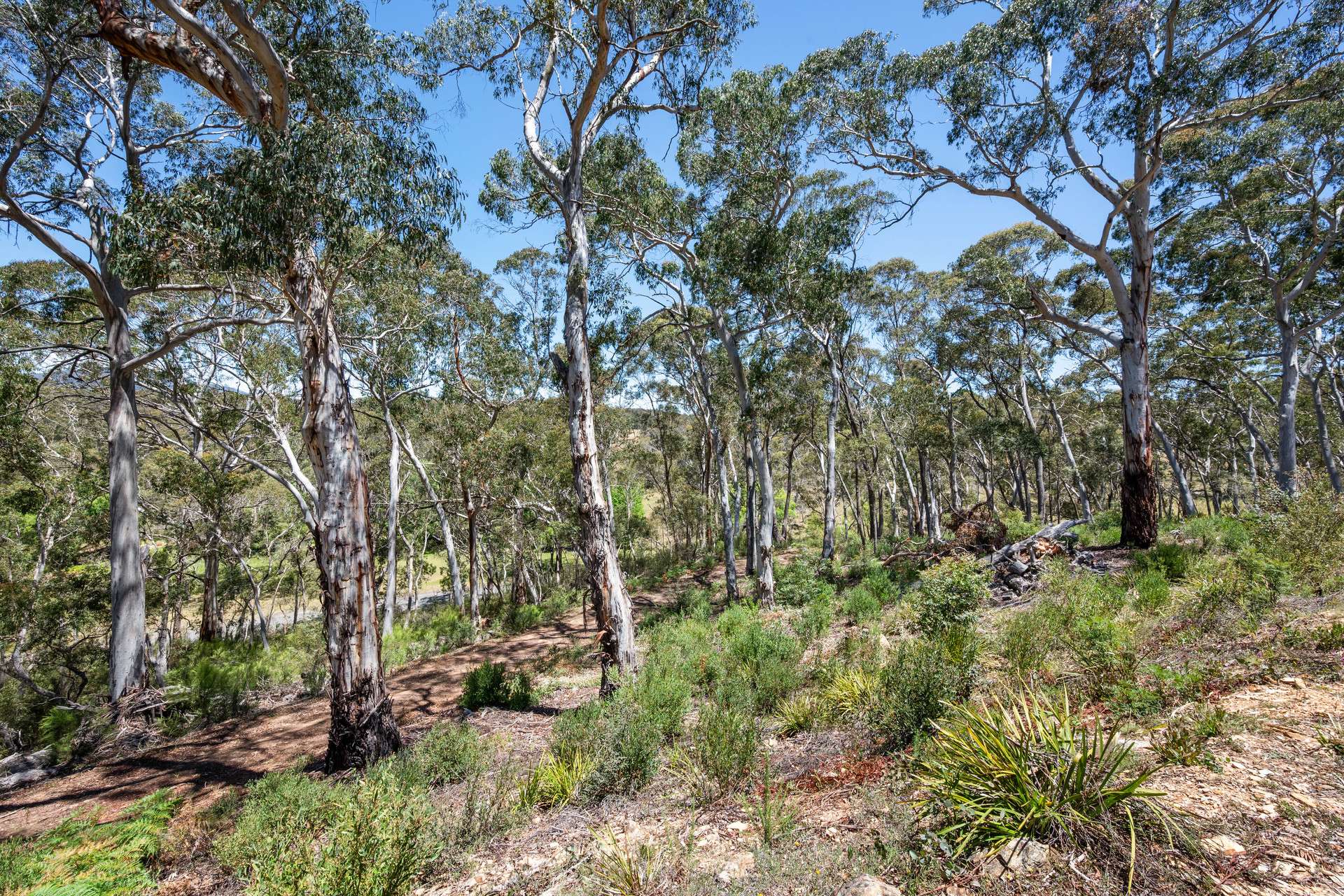 281 Charleys Forest Road, Braidwood For Sale by Farmbuy.com - image 22