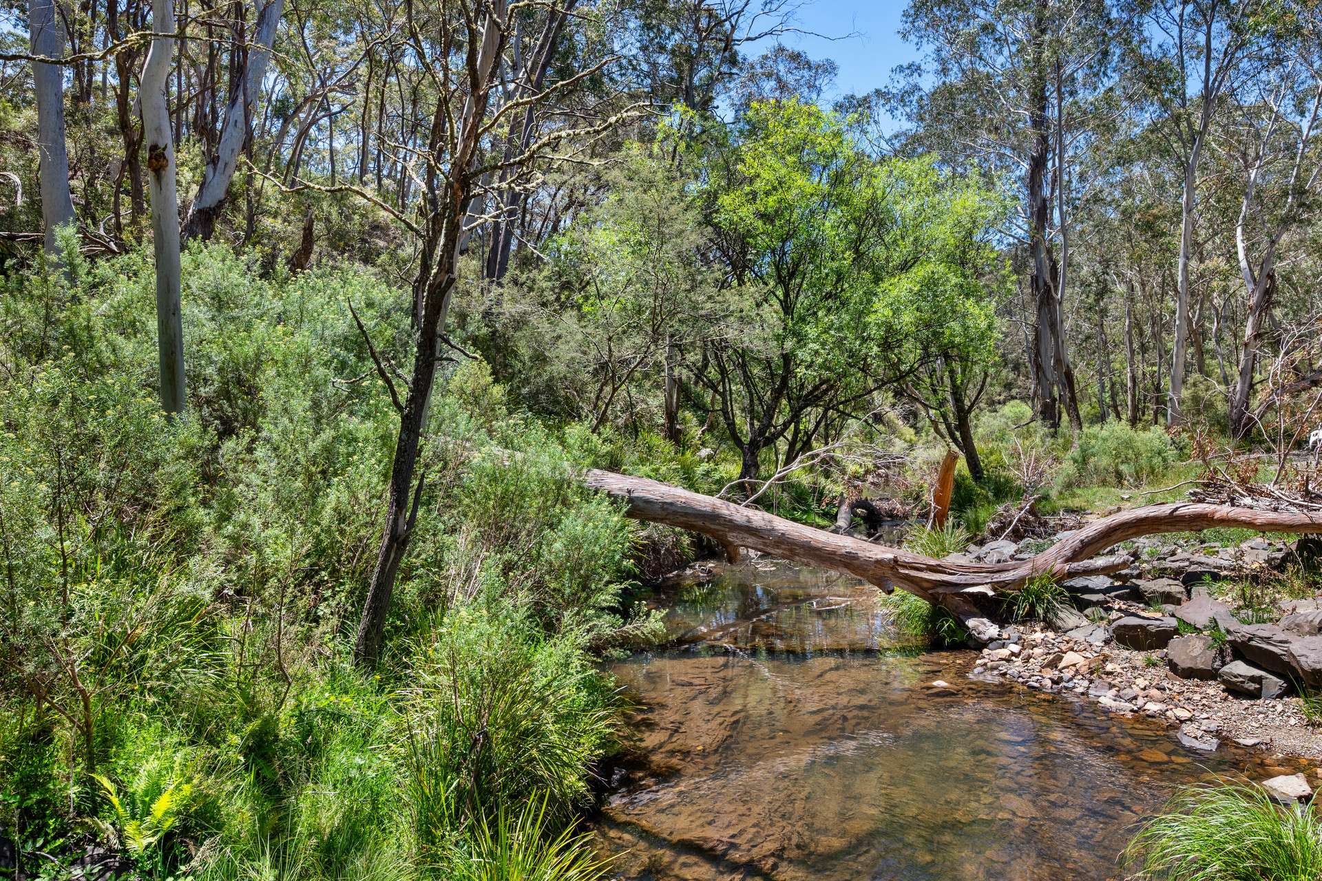 281 Charleys Forest Road, Braidwood For Sale by Farmbuy.com - image 26