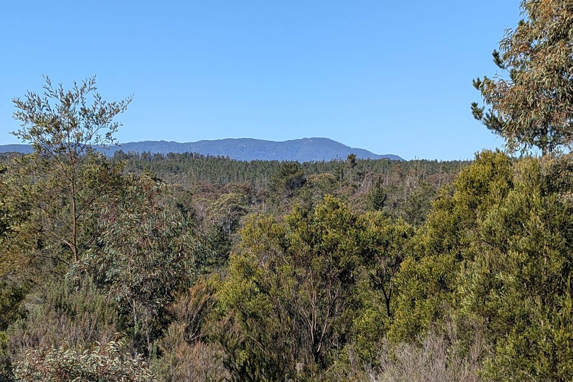 84 Hockey Lane, Braidwood For Sale by Farmbuy.com - image 7