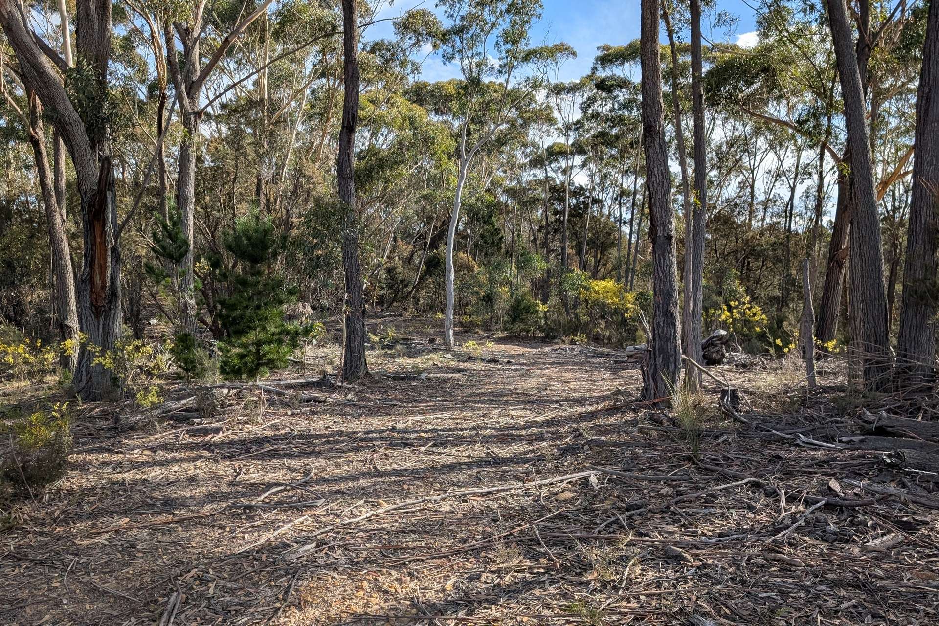 84 Hockey Lane, Braidwood For Sale by Farmbuy.com - image 8