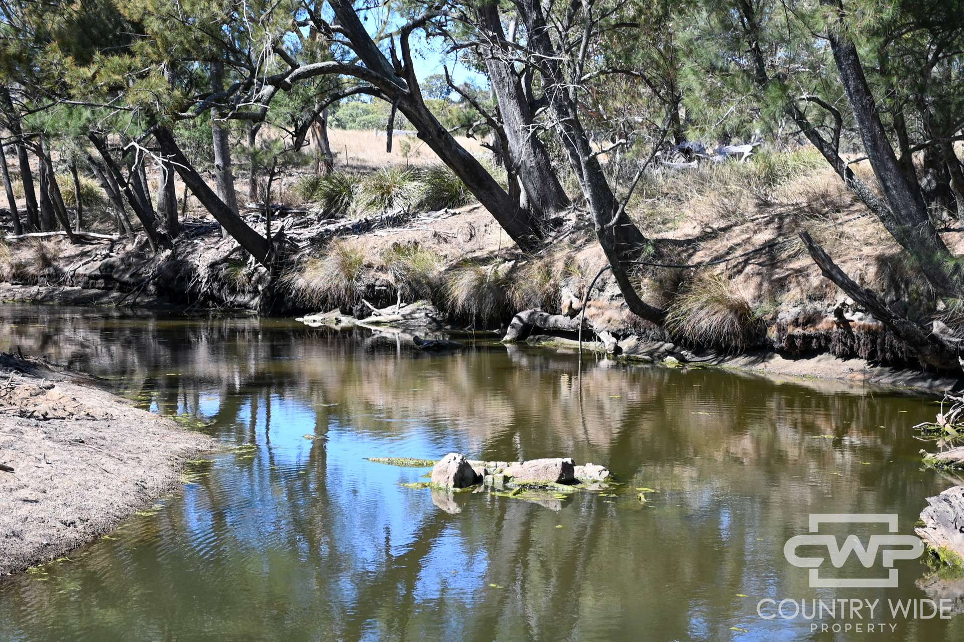 Lot 78, 4108 Tent Hill Road, Emmaville For Sale by Farmbuy.com - image 11
