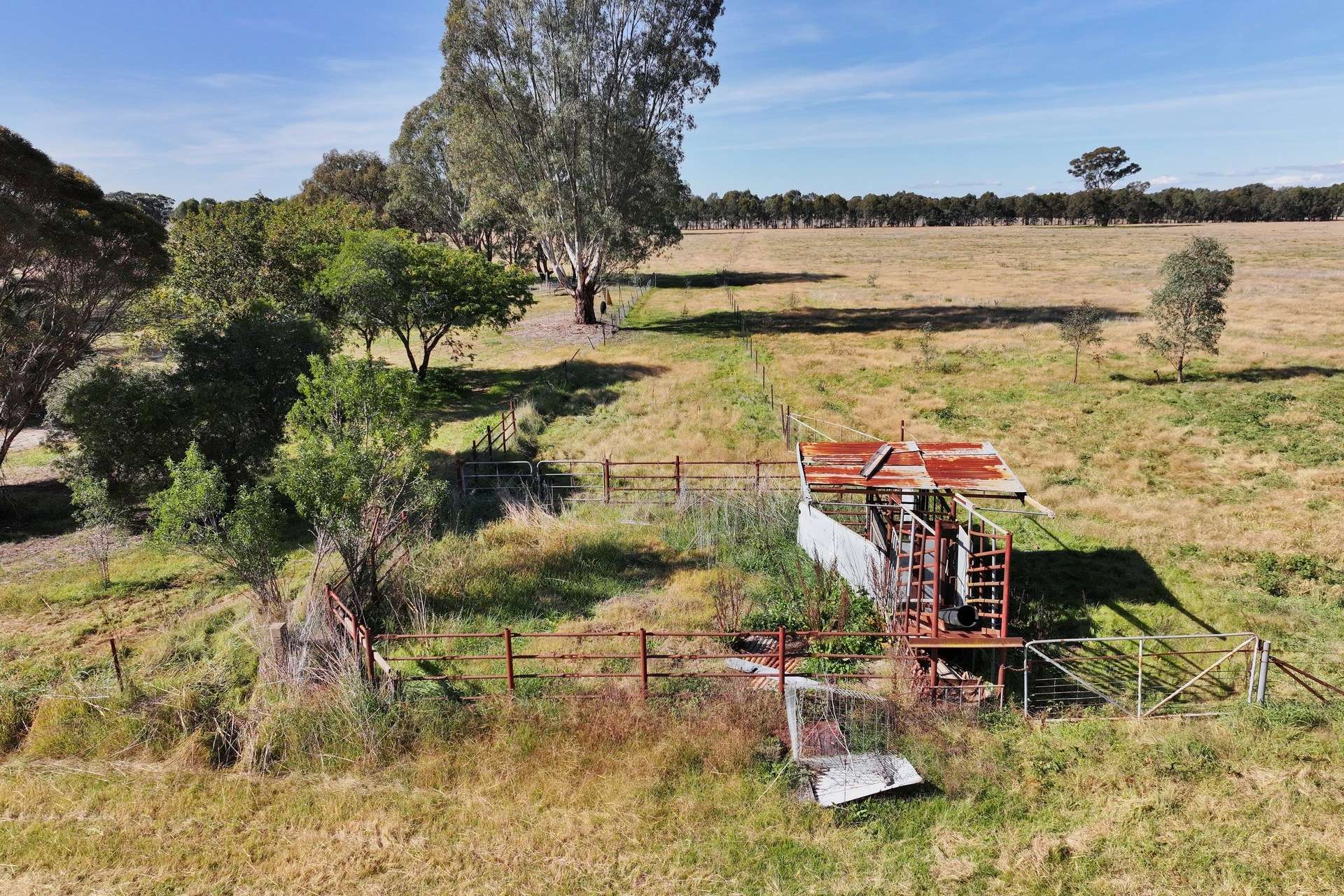 151 Briggs Road, Norong Sold by Farmbuy.com - image 14