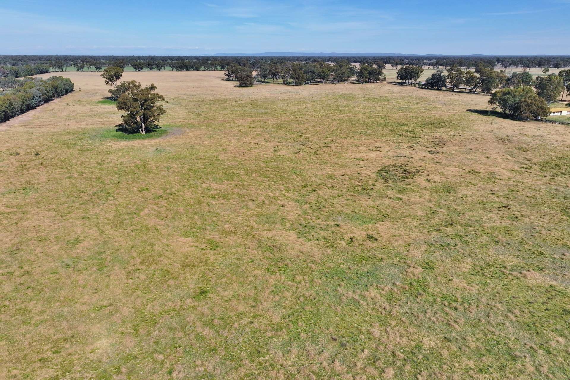 151 Briggs Road, Norong Sold by Farmbuy.com - image 4