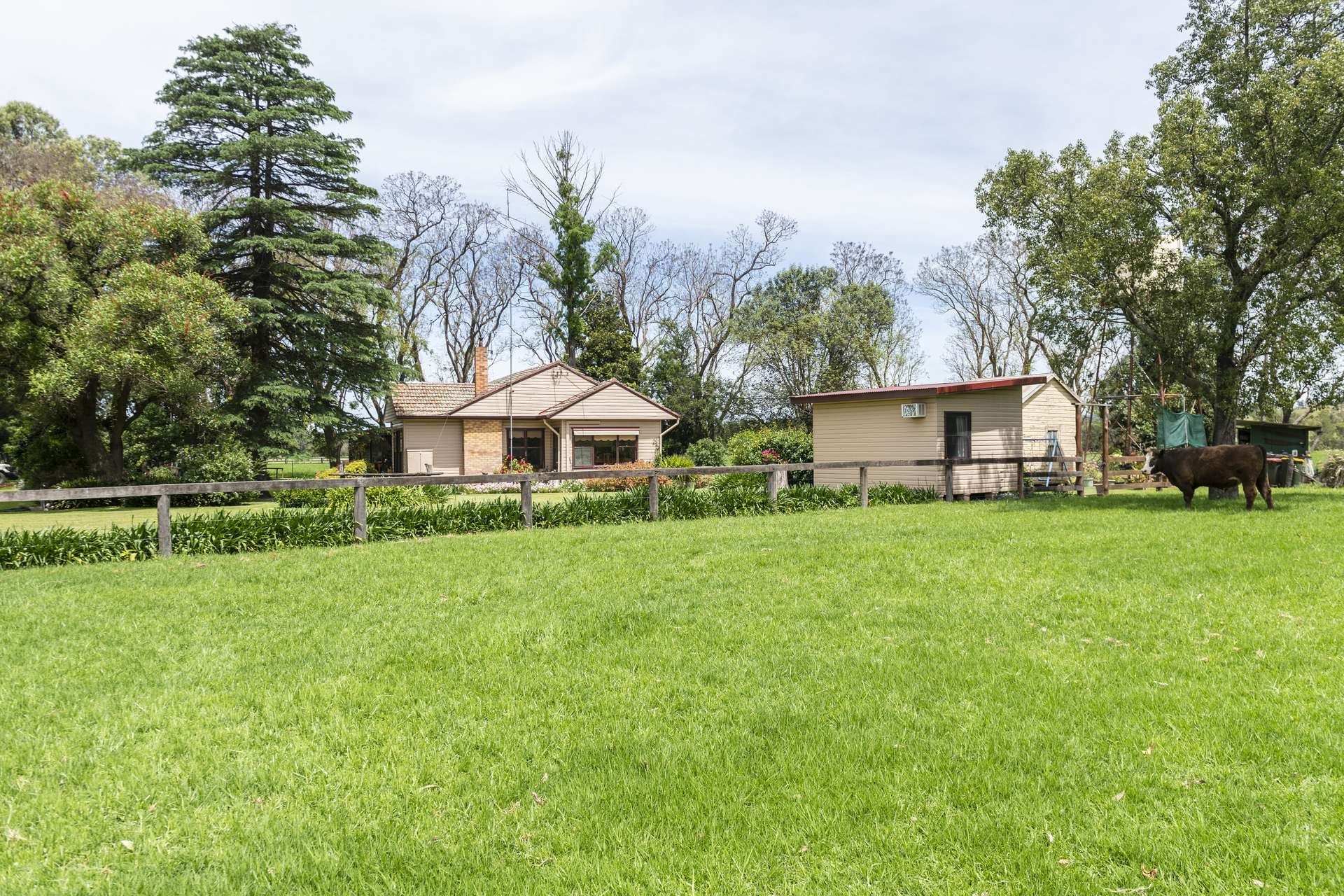 Jersey Park Leighton Park Rd, Scone For Sale by Farmbuy.com - image 9