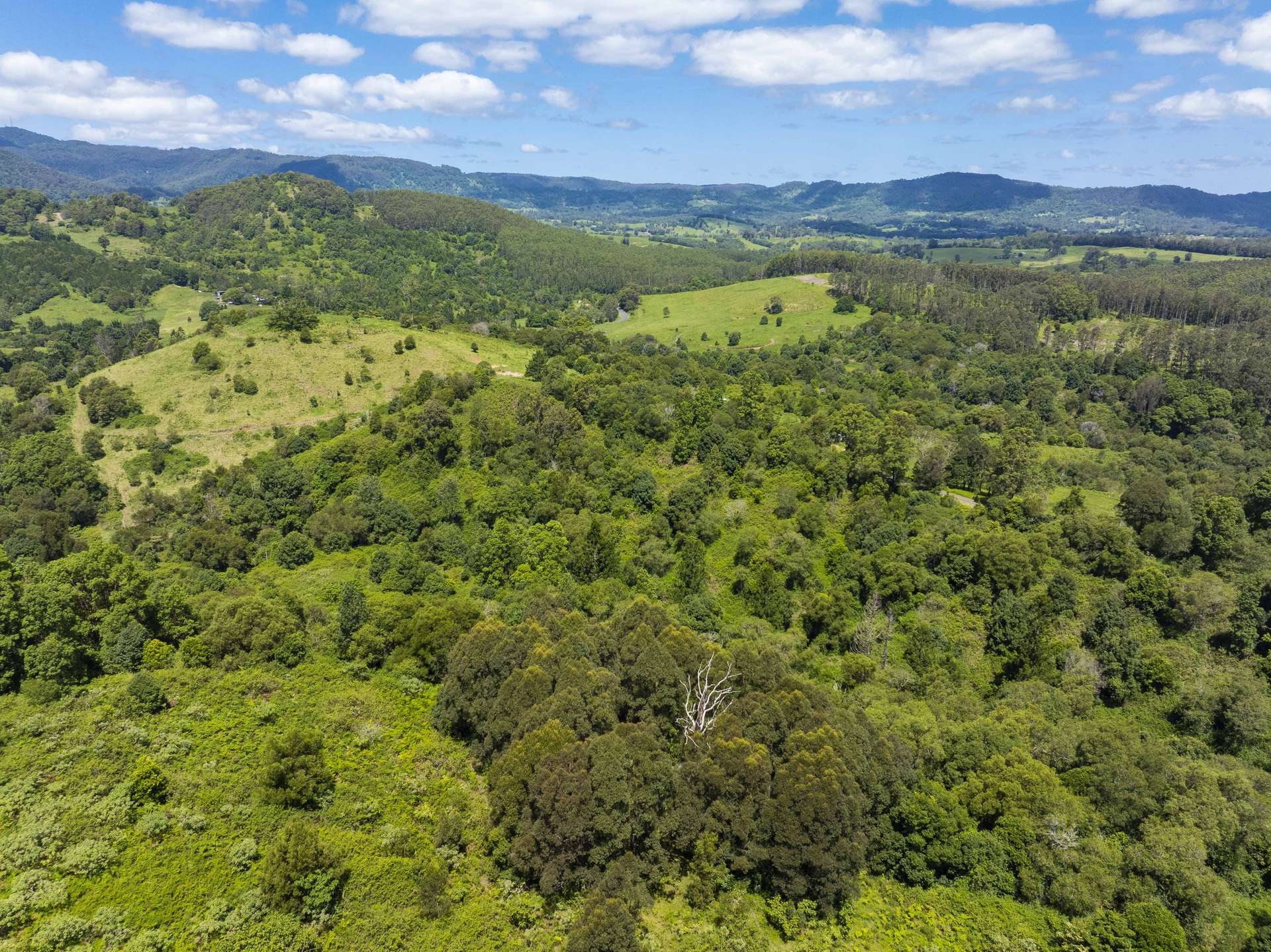 345 Blue Knob Road, Nimbin For Sale by Farmbuy.com - image 8