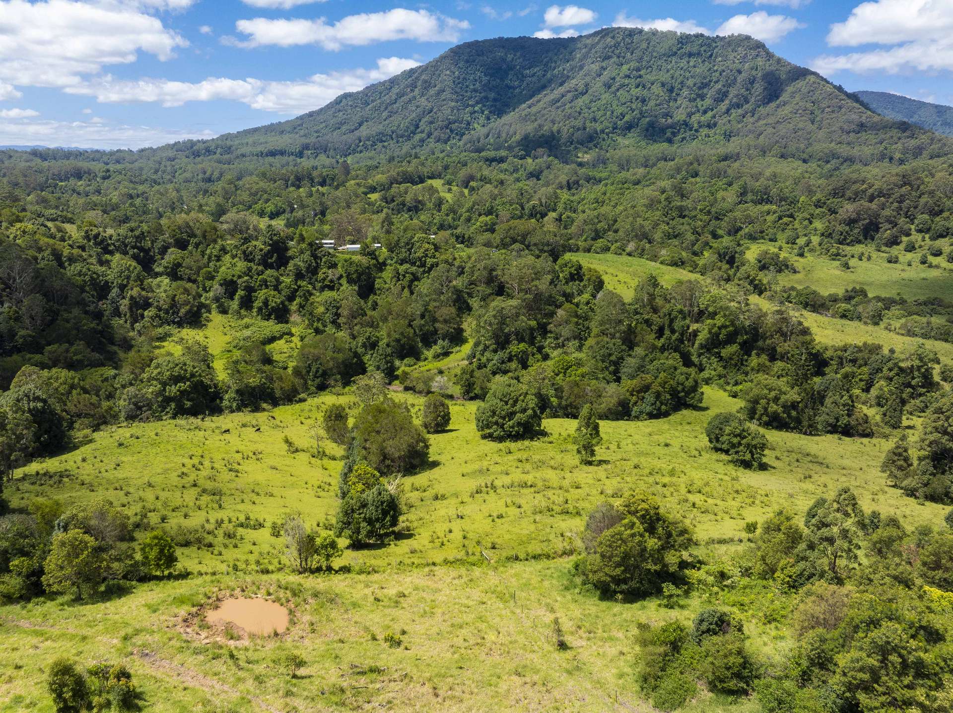 345 Blue Knob Road, Nimbin For Sale by Farmbuy.com - image 27