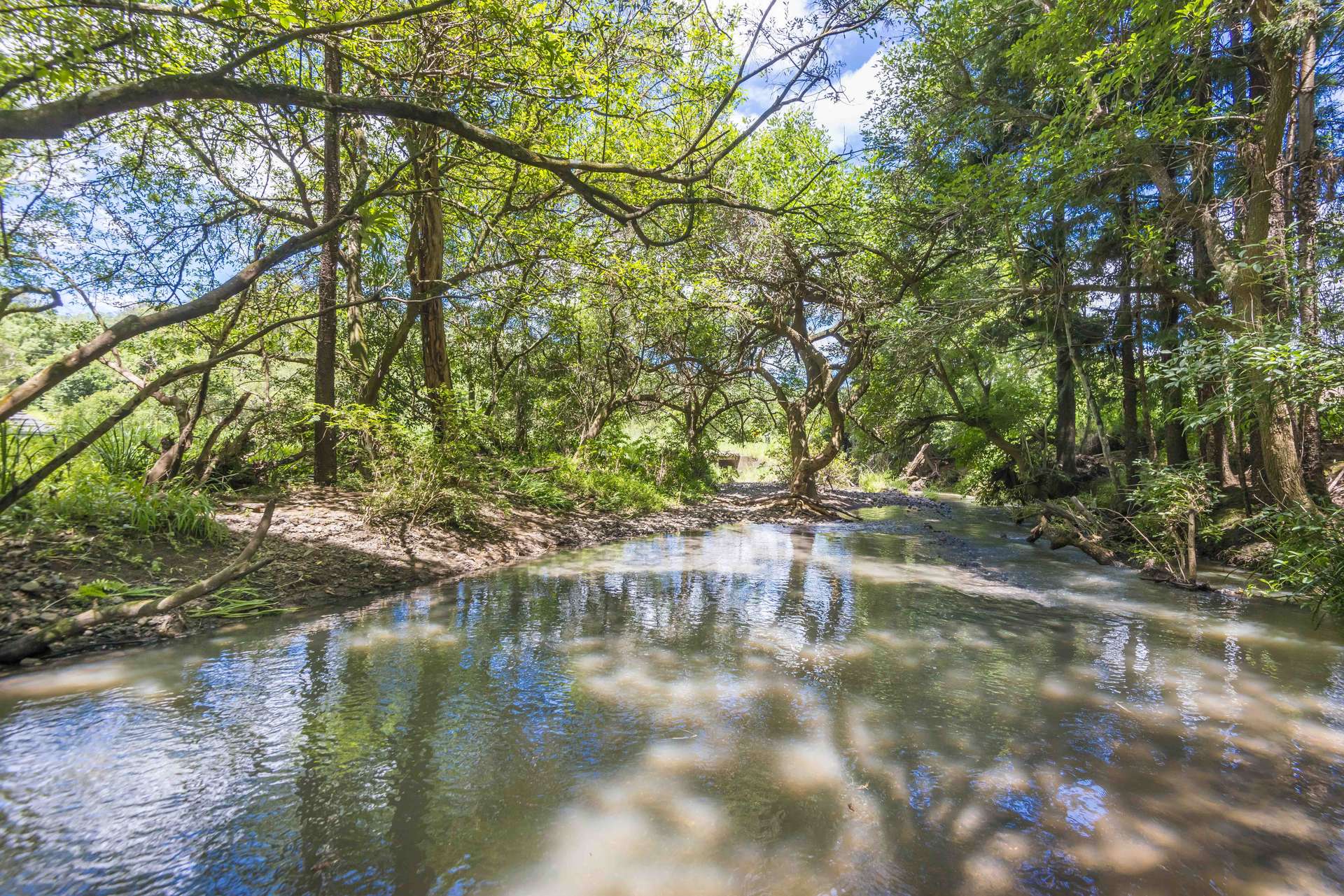 345 Blue Knob Road, Nimbin For Sale by Farmbuy.com - image 19