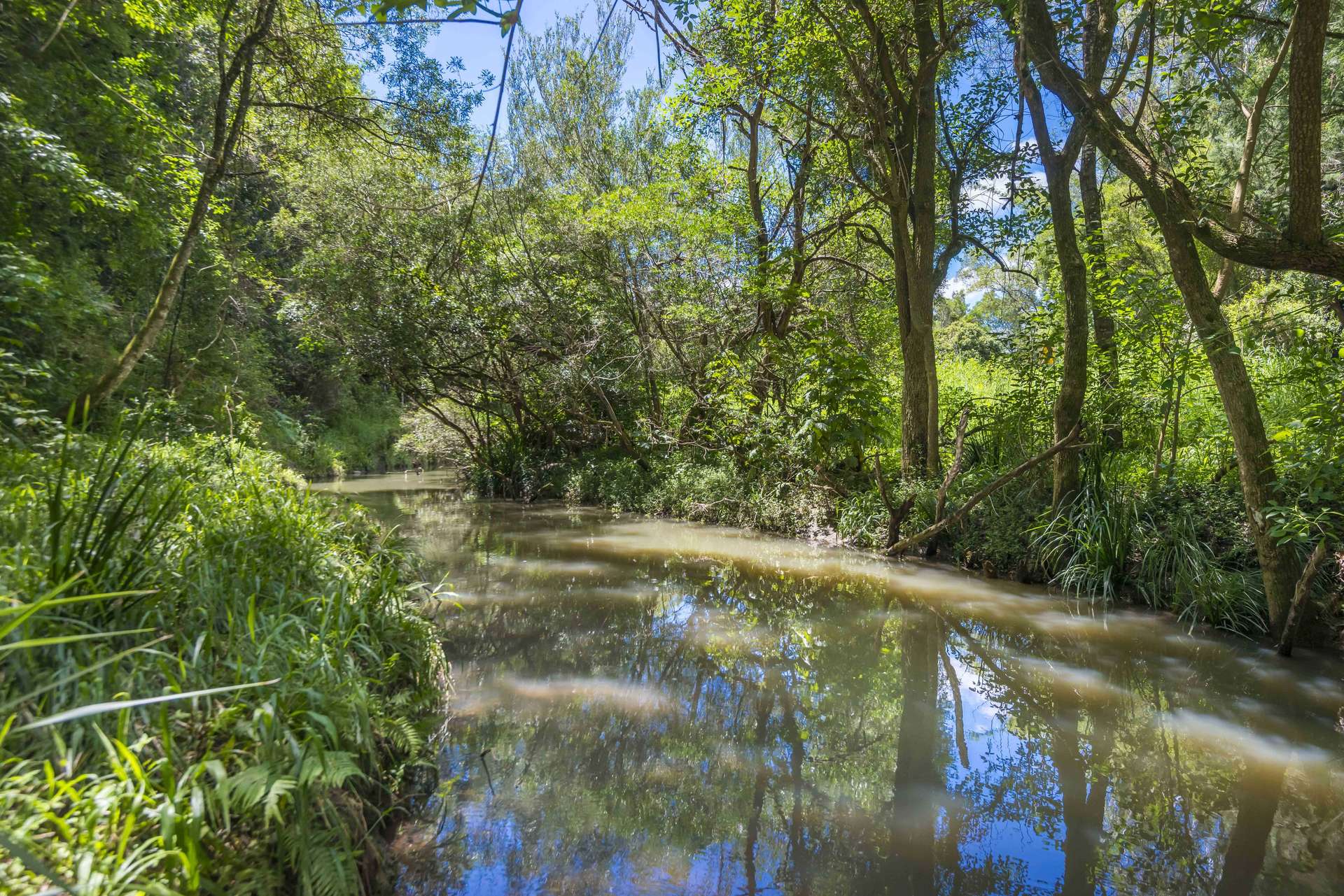 345 Blue Knob Road, Nimbin For Sale by Farmbuy.com - image 33
