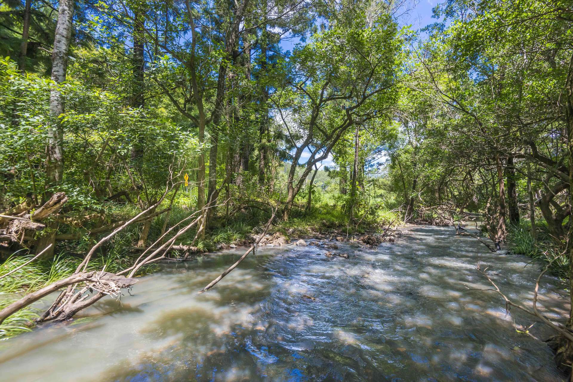 345 Blue Knob Road, Nimbin For Sale by Farmbuy.com - image 25