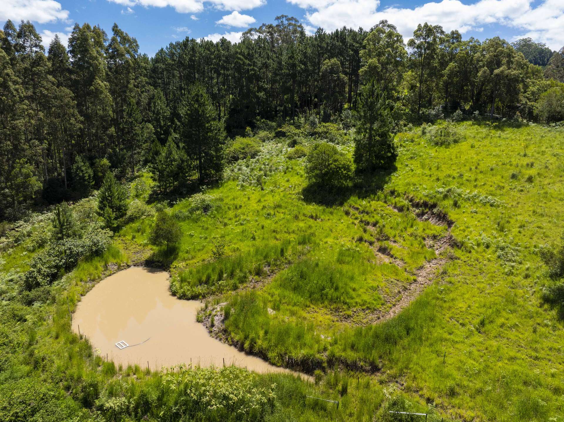 345 Blue Knob Road, Nimbin For Sale by Farmbuy.com - image 6