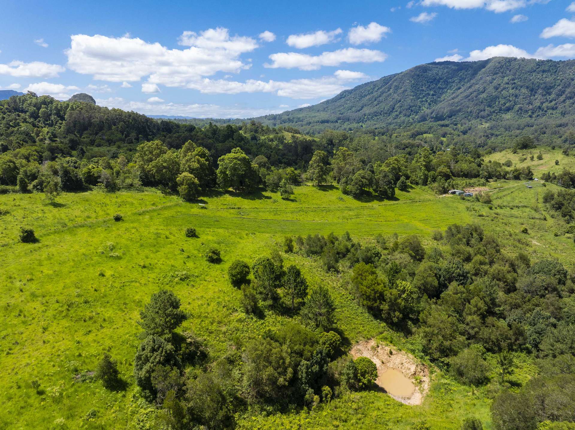 345 Blue Knob Road, Nimbin For Sale by Farmbuy.com - image 21