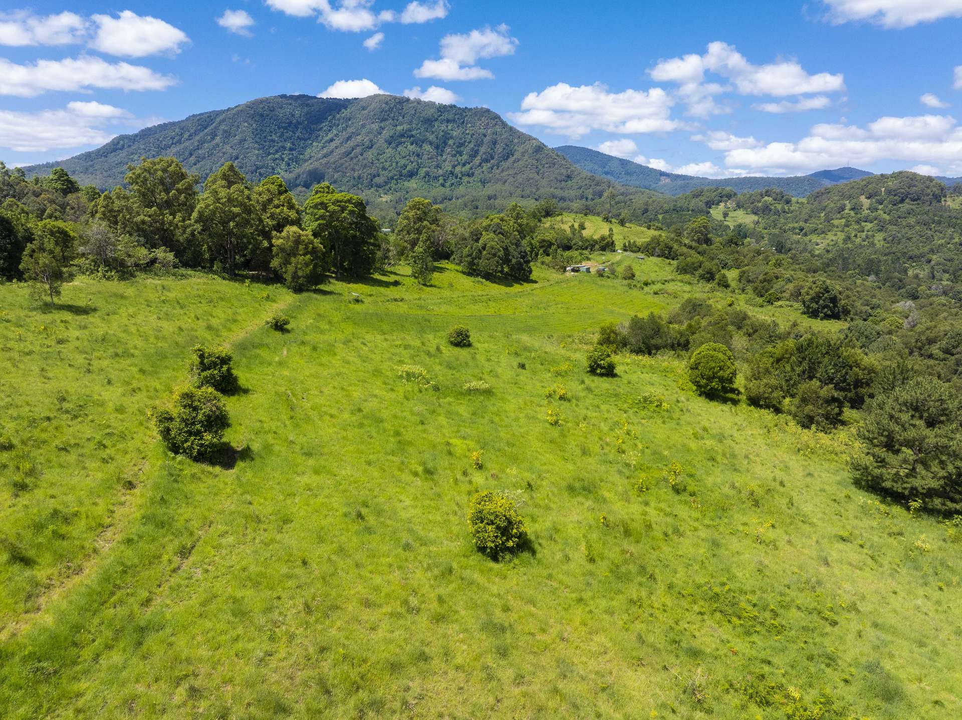 345 Blue Knob Road, Nimbin For Sale by Farmbuy.com - image 2