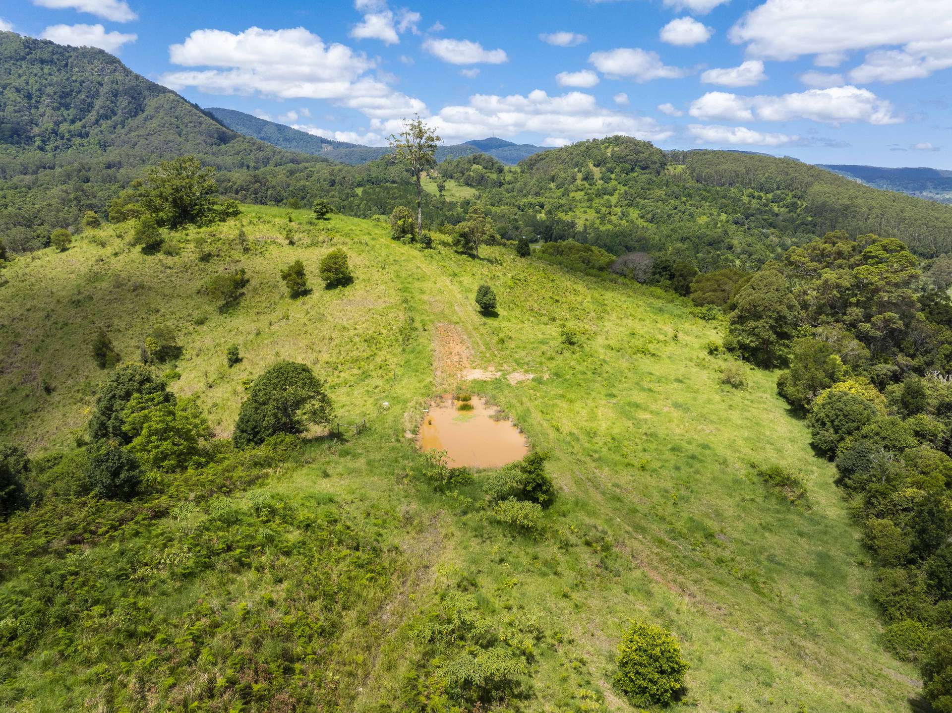 345 Blue Knob Road, Nimbin For Sale by Farmbuy.com - image 14