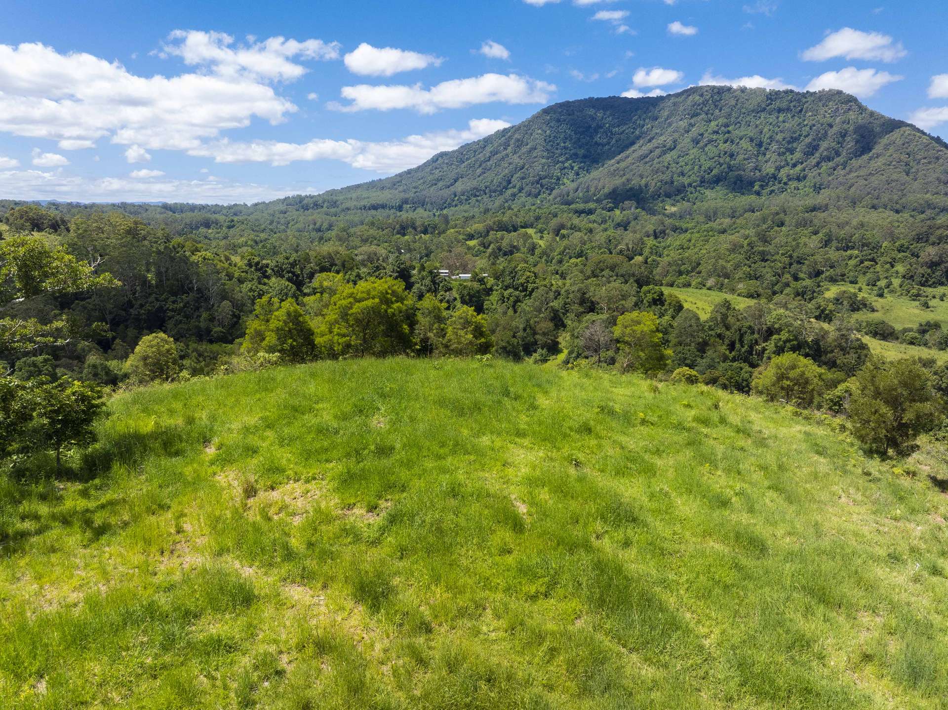 345 Blue Knob Road, Nimbin For Sale by Farmbuy.com - image 23