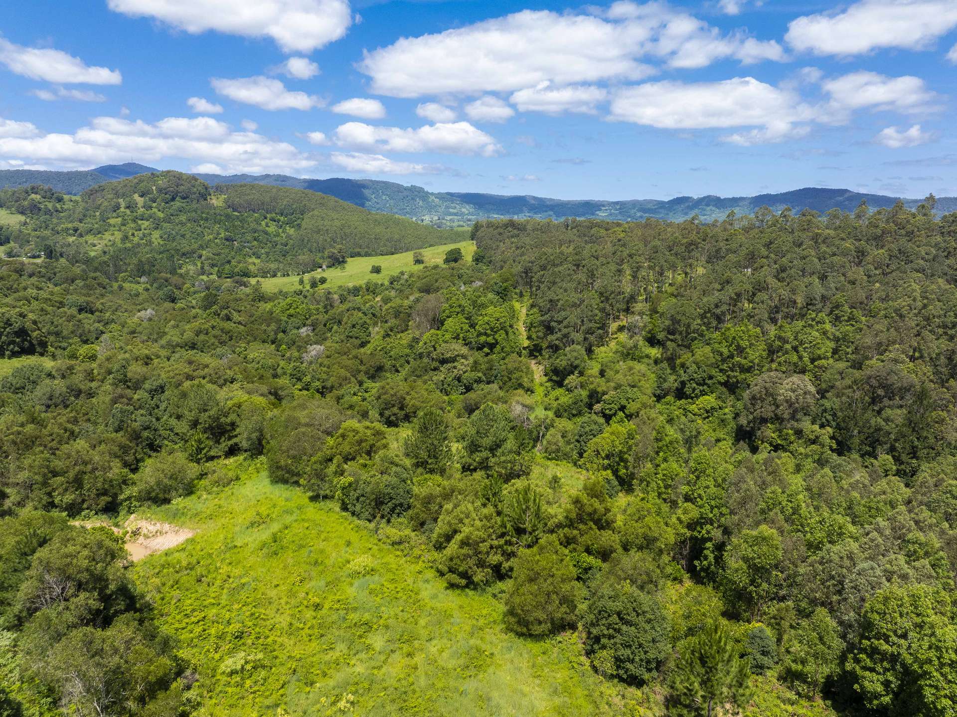 345 Blue Knob Road, Nimbin For Sale by Farmbuy.com - image 22