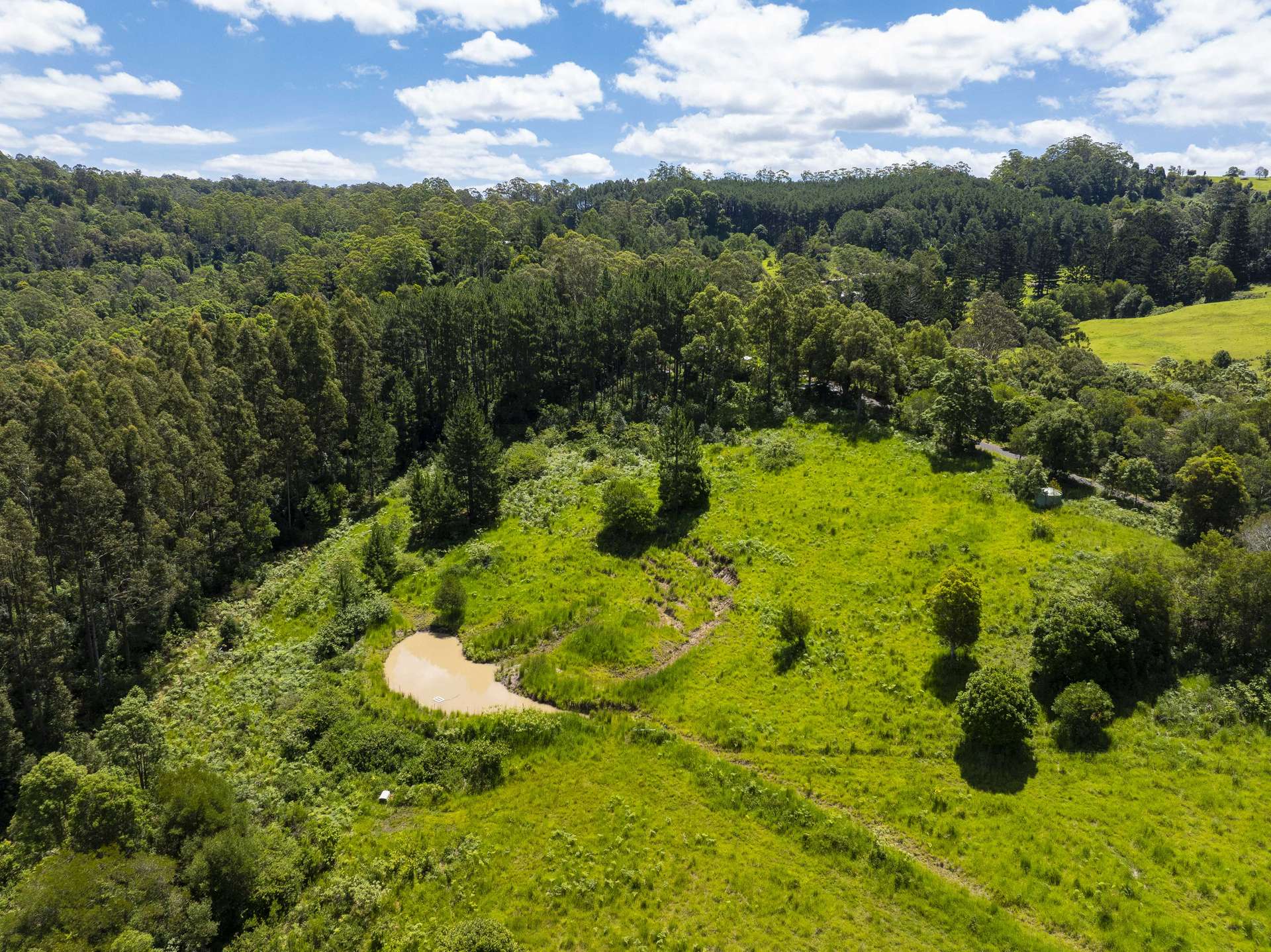 345 Blue Knob Road, Nimbin For Sale by Farmbuy.com - image 4