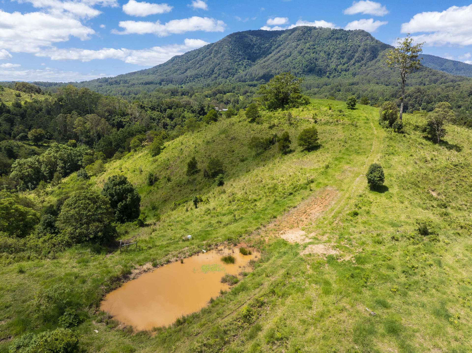 345 Blue Knob Road, Nimbin For Sale by Farmbuy.com - image 14