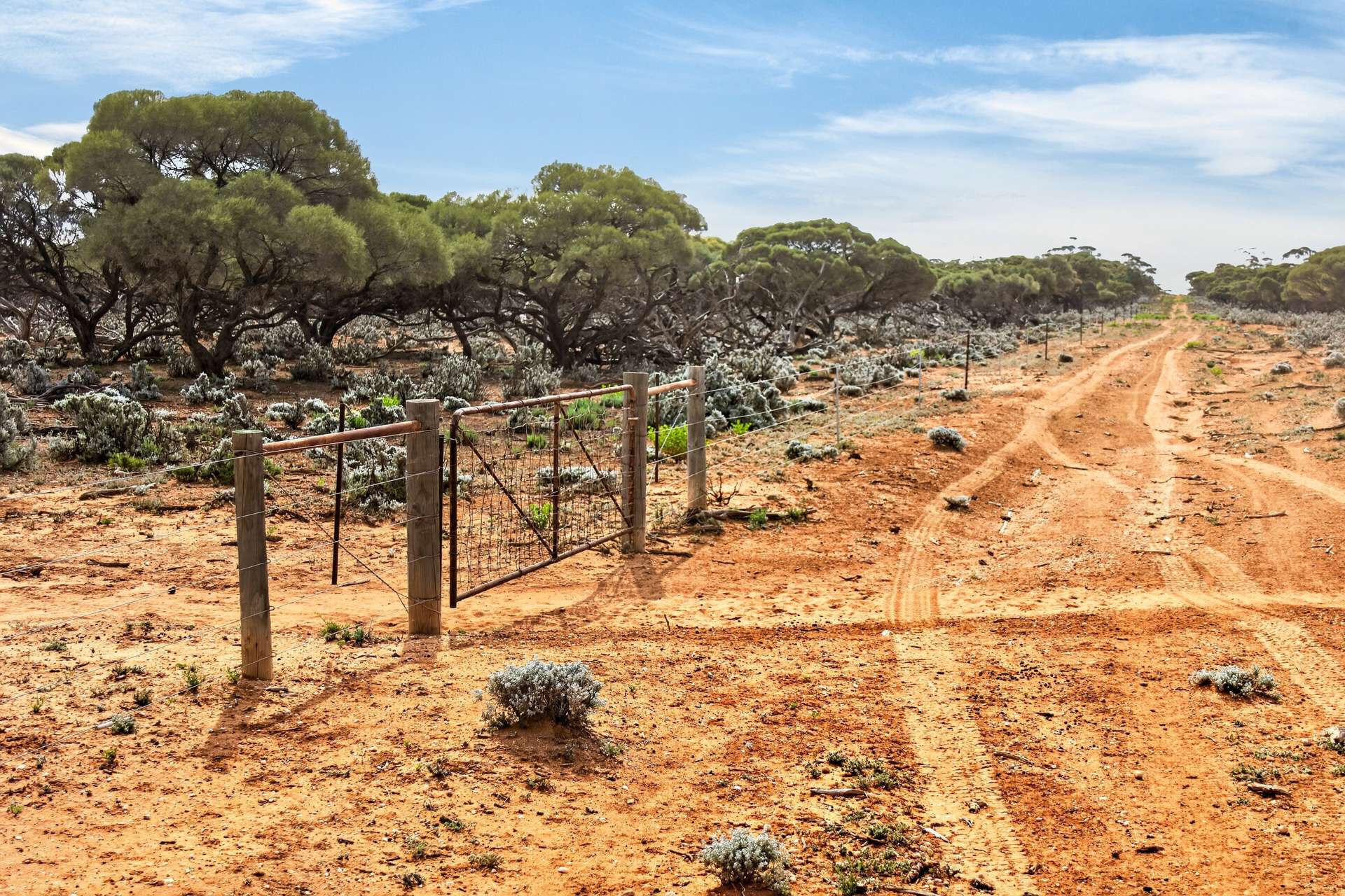 Gilles Downs Station Eyre Highway, Iron Knob For Sale by Farmbuy.com - image 22