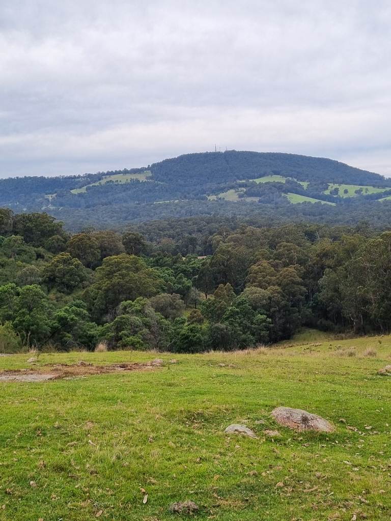 351 Mia Mia Road, Merrijig VIC 3875