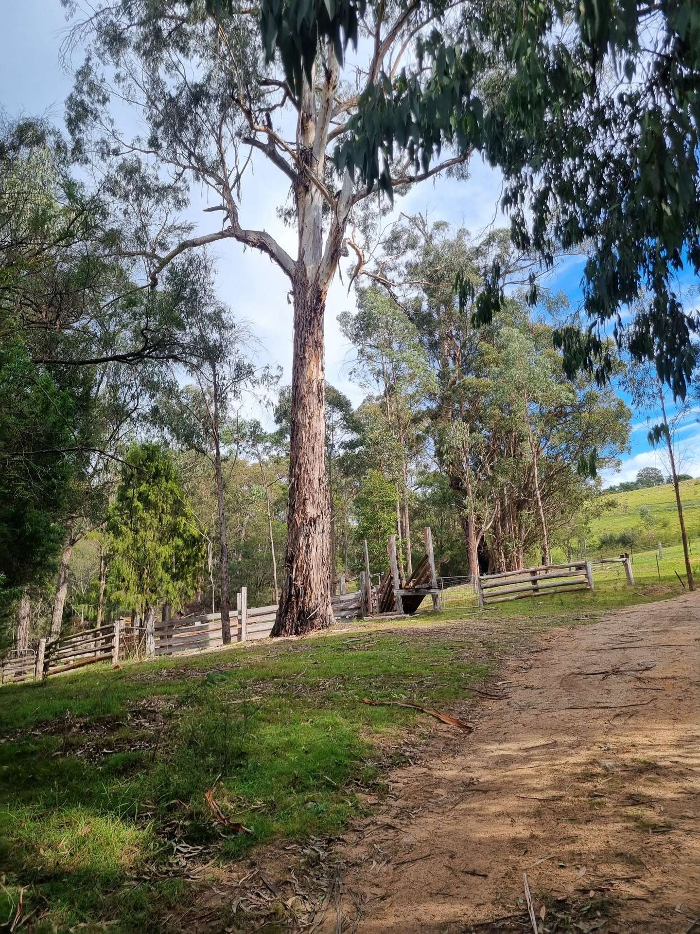 351 Mia Mia Road, Merrijig For Sale by Farmbuy.com - image 2